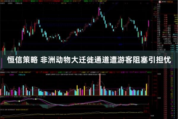 恒信策略 非洲动物大迁徙通道遭游客阻塞引担忧