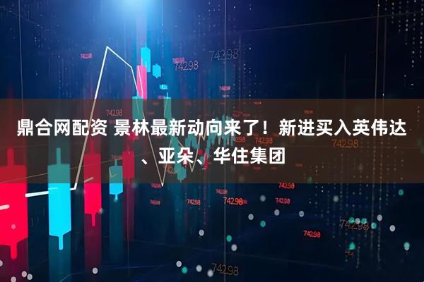 鼎合网配资 景林最新动向来了！新进买入英伟达、亚朵、华住集团