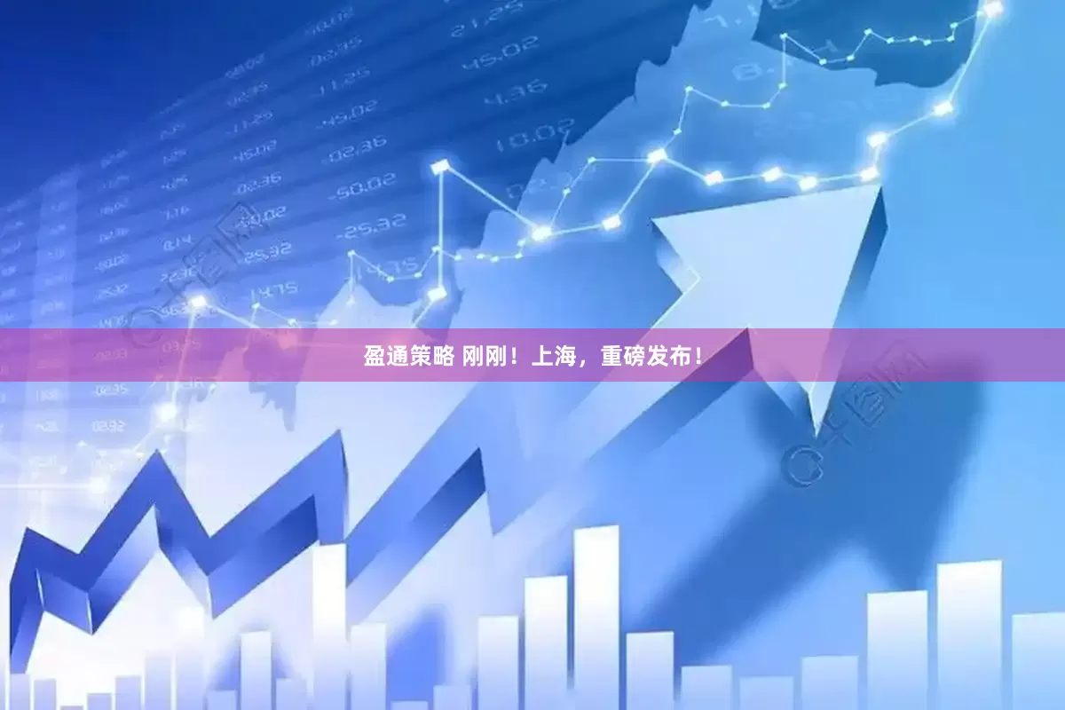 盈通策略 刚刚！上海，重磅发布！