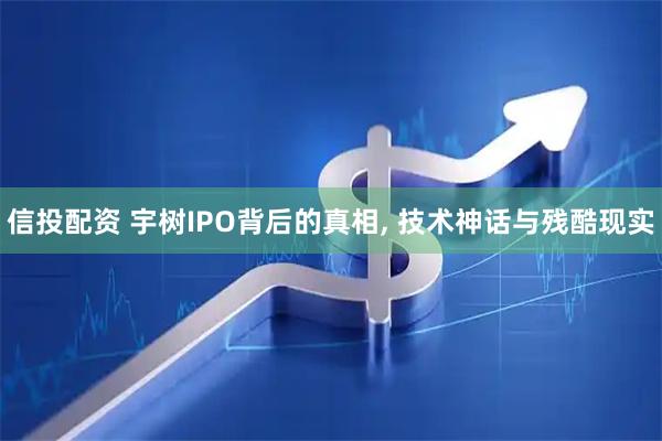 信投配资 宇树IPO背后的真相, 技术神话与残酷现实