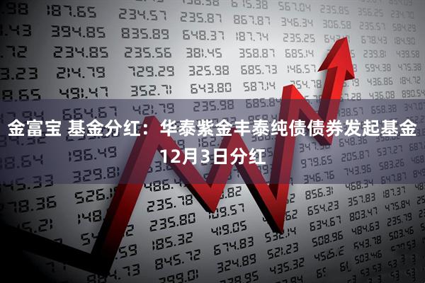 金富宝 基金分红：华泰紫金丰泰纯债债券发起基金12月3日分红