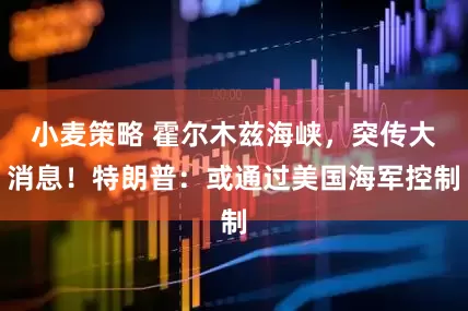 小麦策略 霍尔木兹海峡,突传大消息!特朗普:或通过美国海军控制